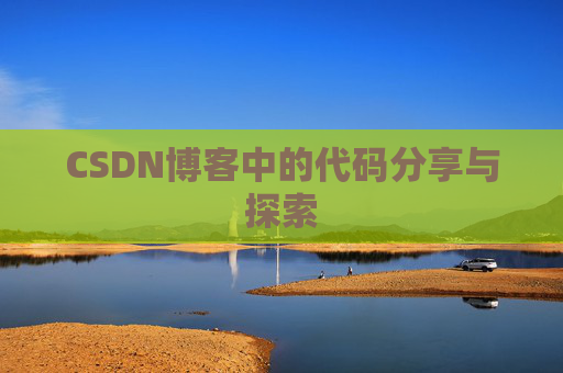 CSDN博客中的代码分享与探索